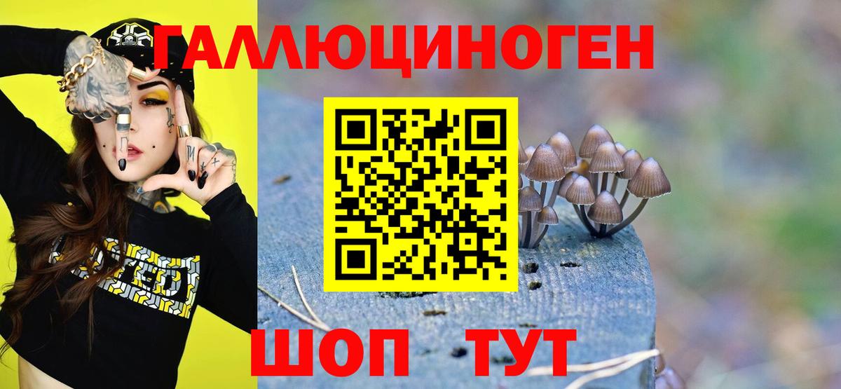 Омск  Галлюциногенные грибы мицелий  Вход с VPN 